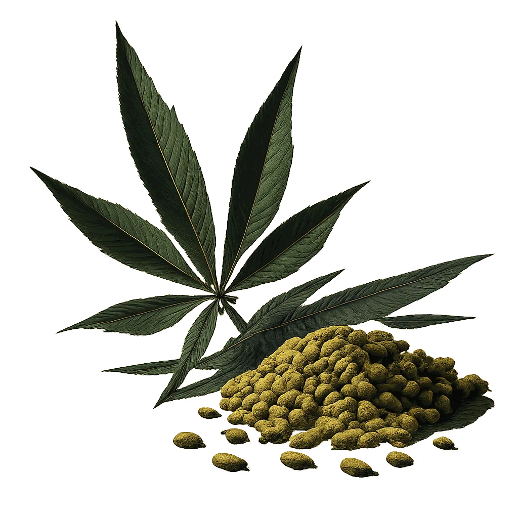 Hemp seed